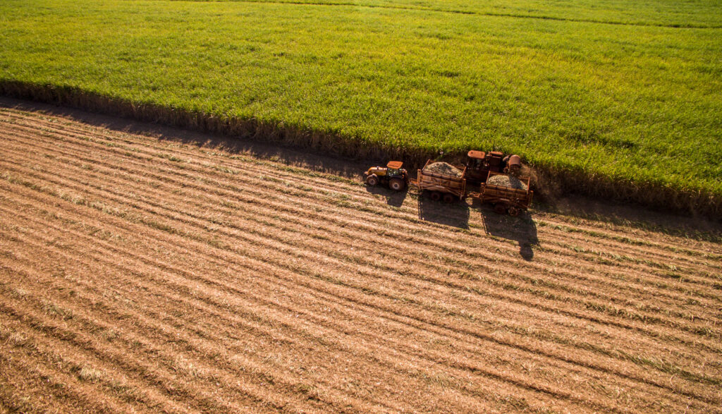 Biomassa: a energia do futuro já está transformando o Brasil